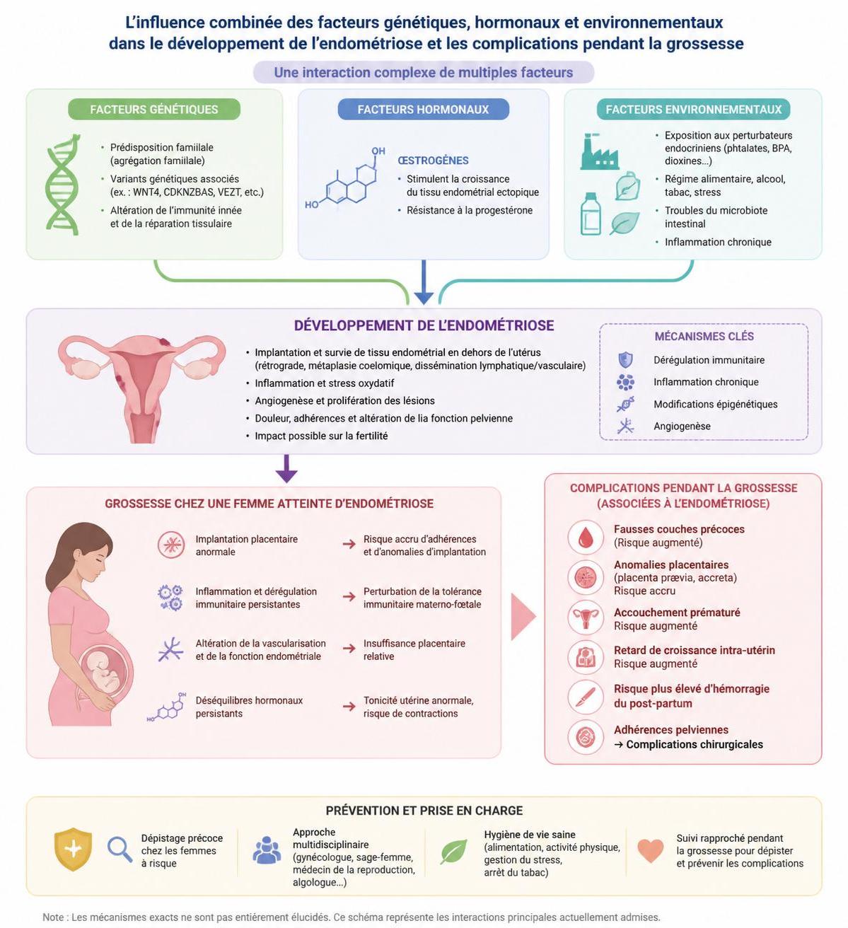 découvrez les résultats d'une nouvelle étude révélant un léger accroissement du risque de malformations congénitales chez les femmes atteintes d'endométriose, et les implications pour la santé maternelle et infantile.