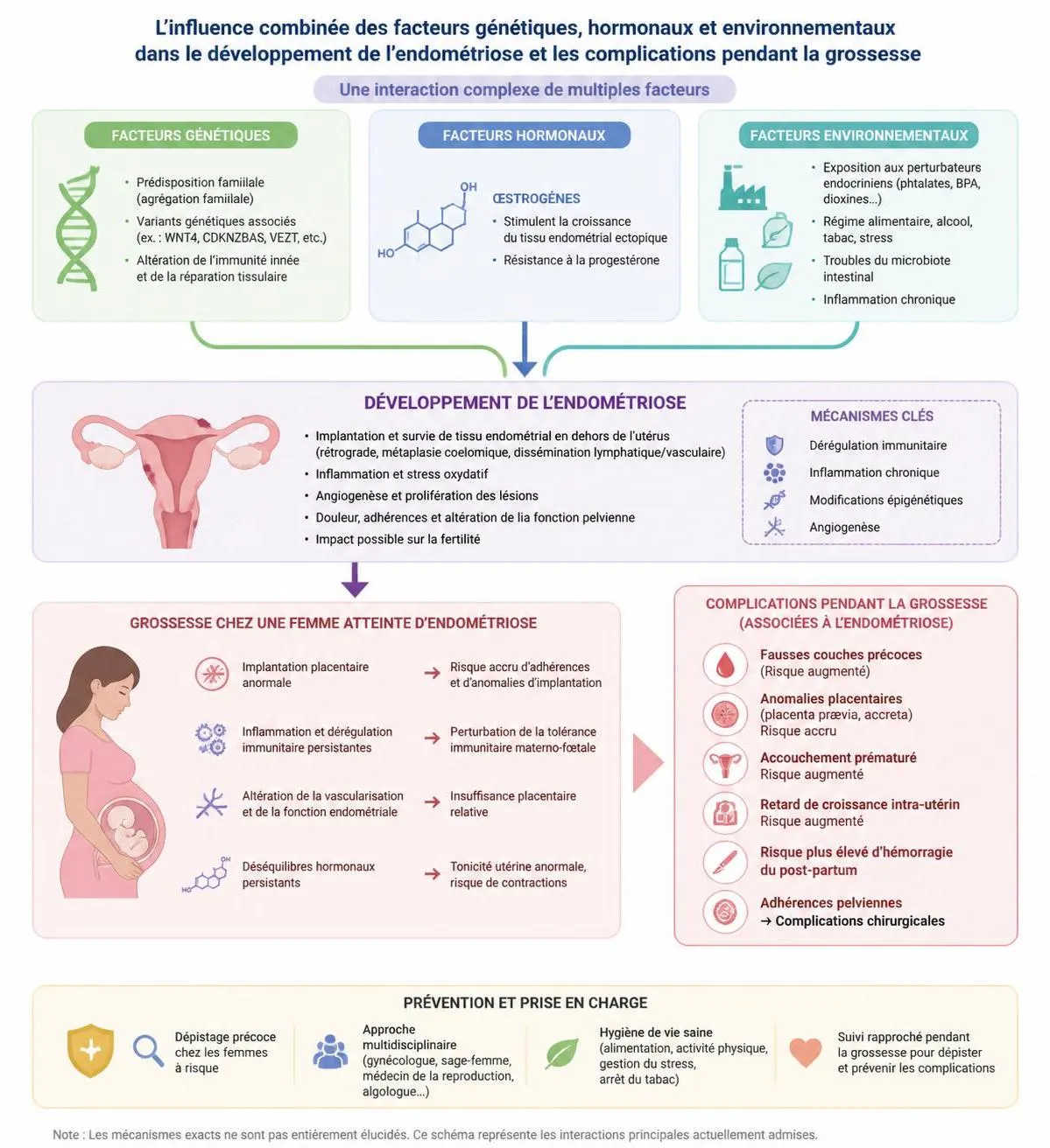 découvrez les résultats d'une nouvelle étude révélant un léger accroissement du risque de malformations congénitales chez les femmes atteintes d'endométriose, et les implications pour la santé maternelle et infantile.