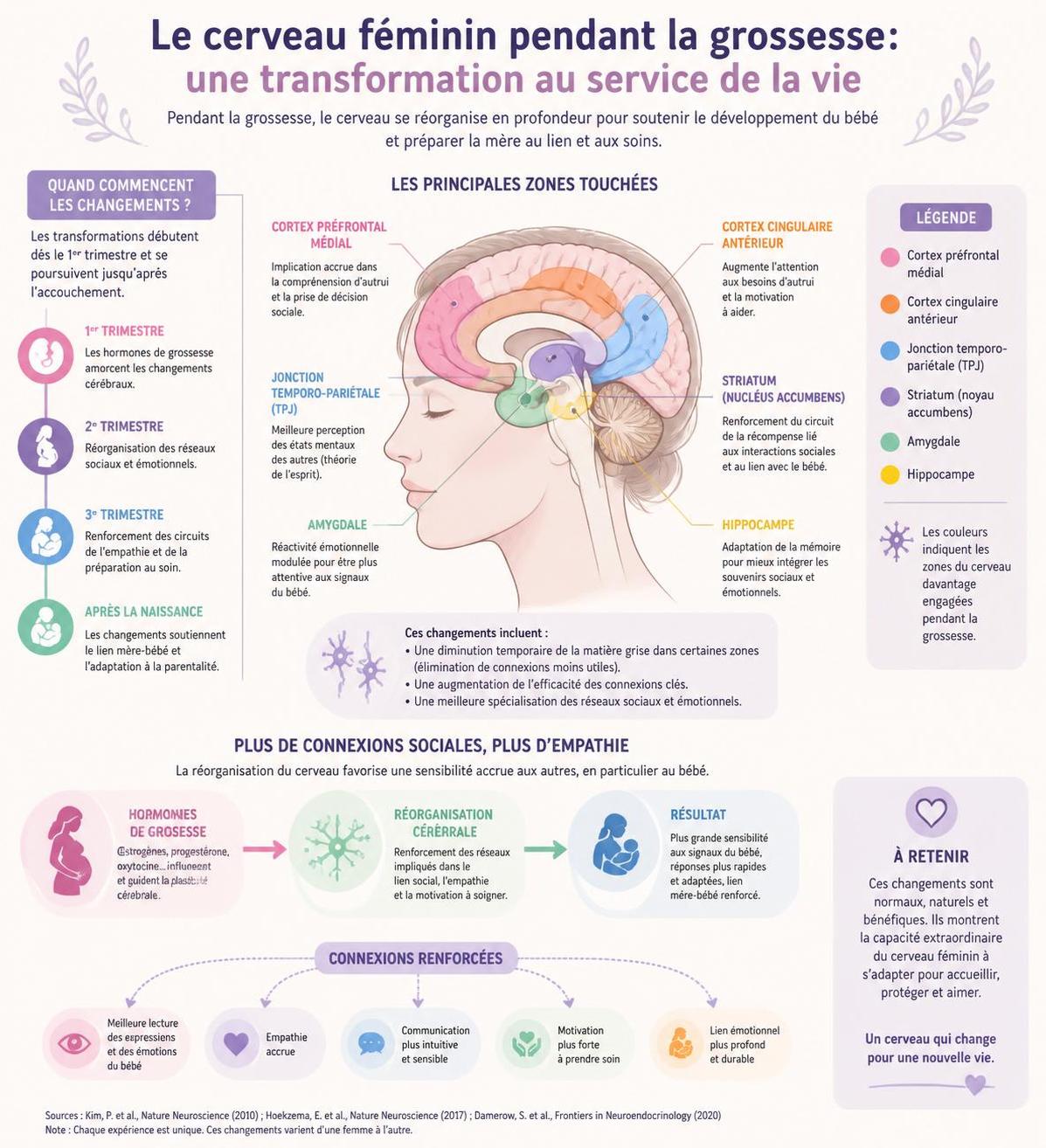 découvrez comment la grossesse modifie le cerveau féminin, révélant des changements scientifiques fascinants et ouvrant de nouvelles pistes de recherche.