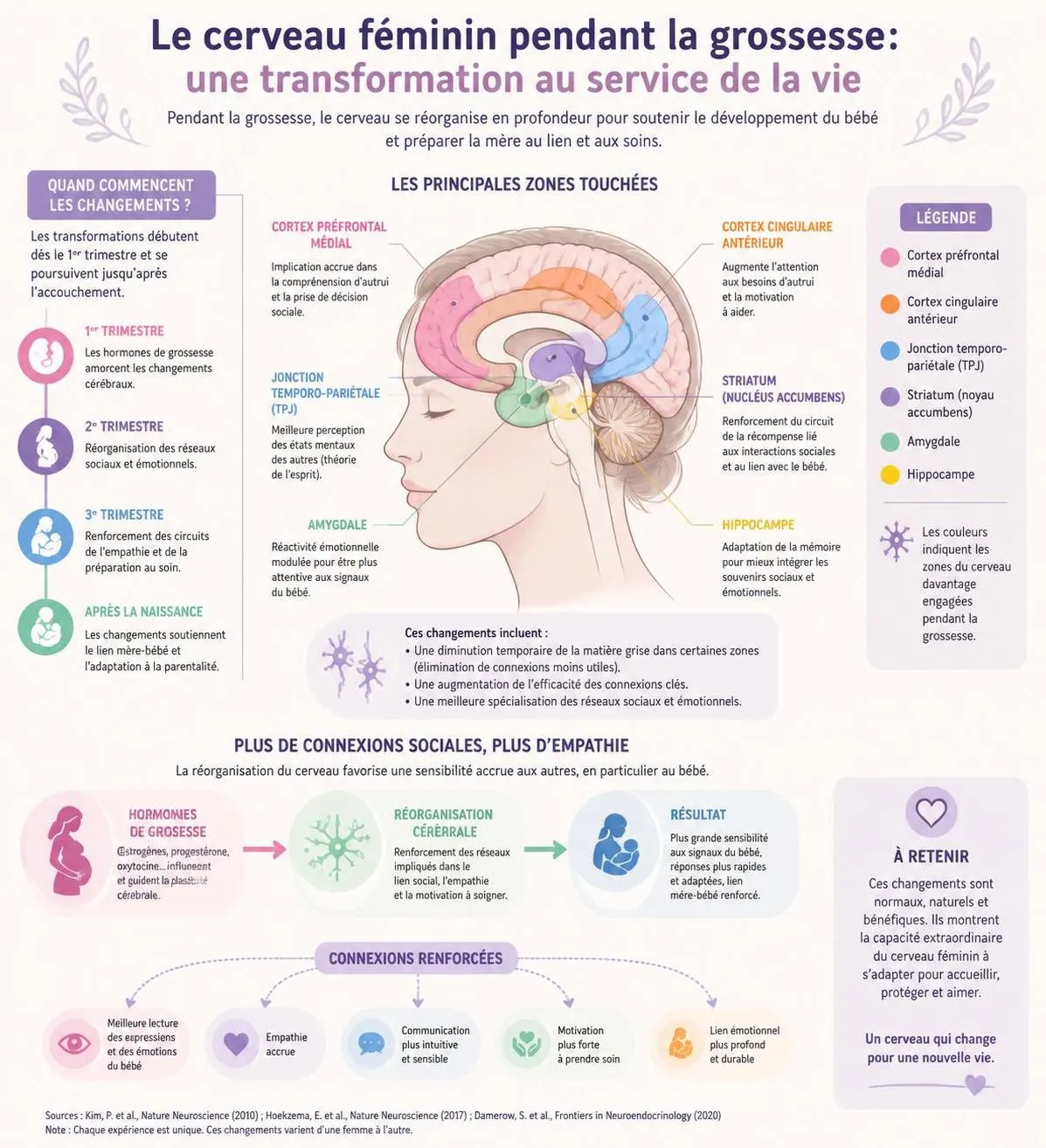 découvrez comment la grossesse modifie le cerveau féminin, révélant des changements scientifiques fascinants et ouvrant de nouvelles pistes de recherche.