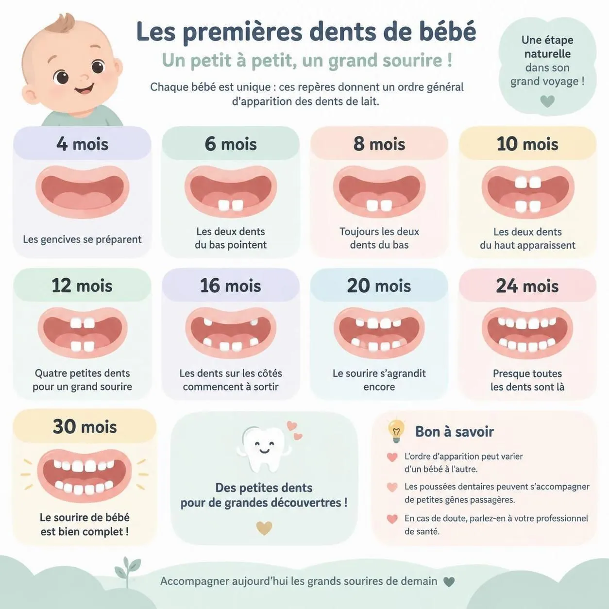 découvrez à quel âge apparaissent les premières dents de bébé, dans quel ordre elles poussent et comment soulager les douleurs et l’inconfort.